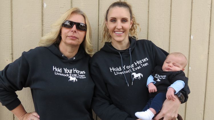 Hold Your Horses